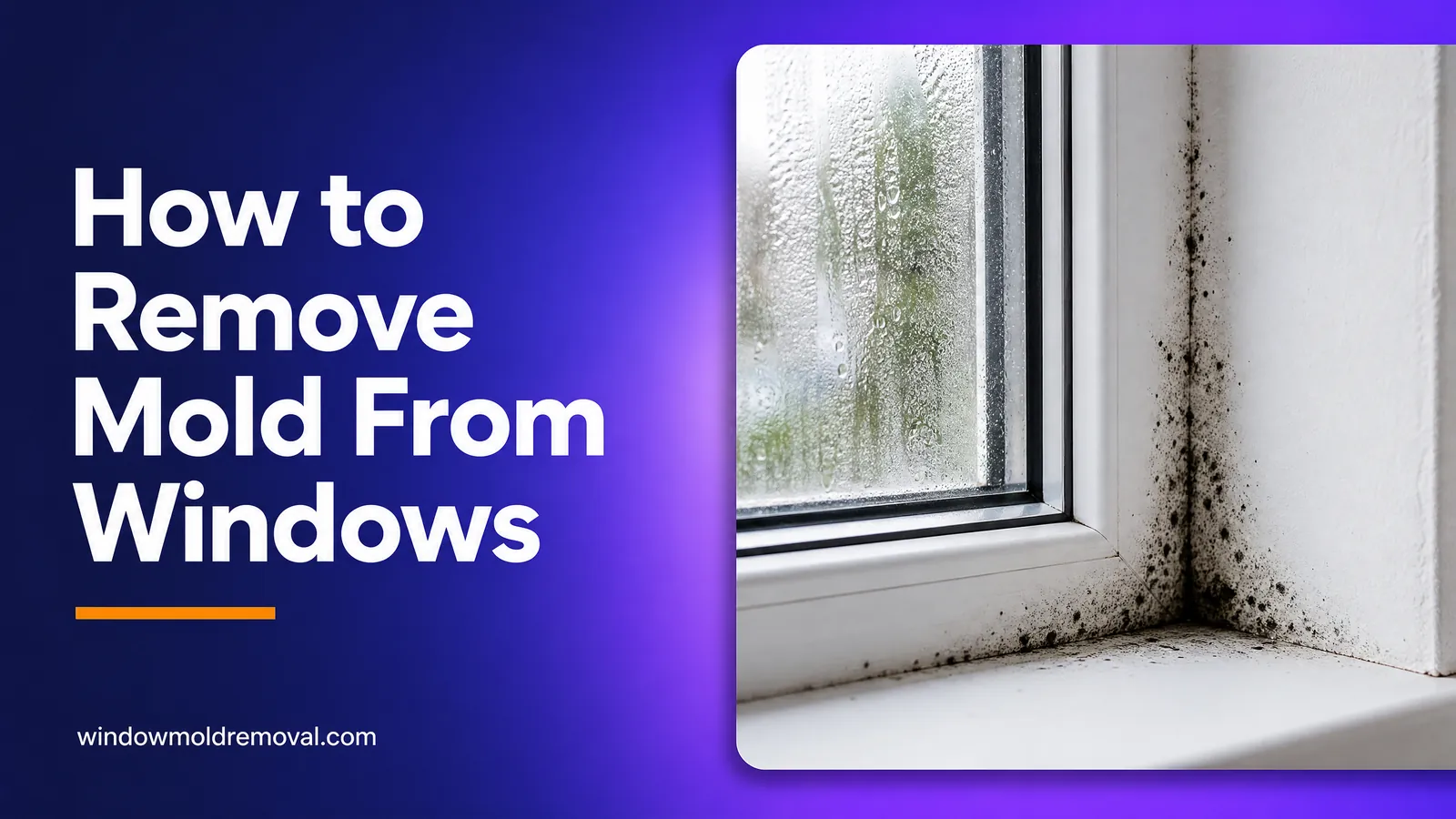 Black mold on a window frame and sill with condensation on the glass